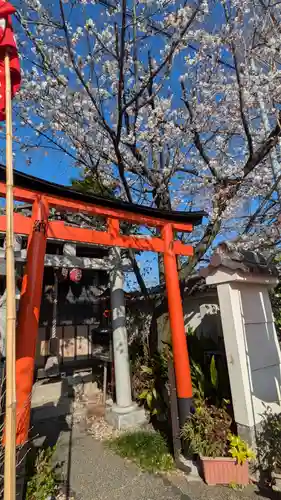 妙雲院(京都府)