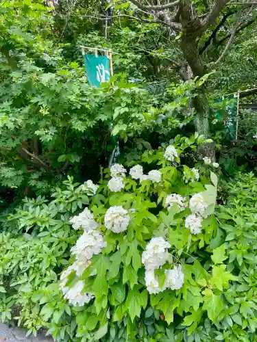 阿佐ヶ谷神明宮(東京都)