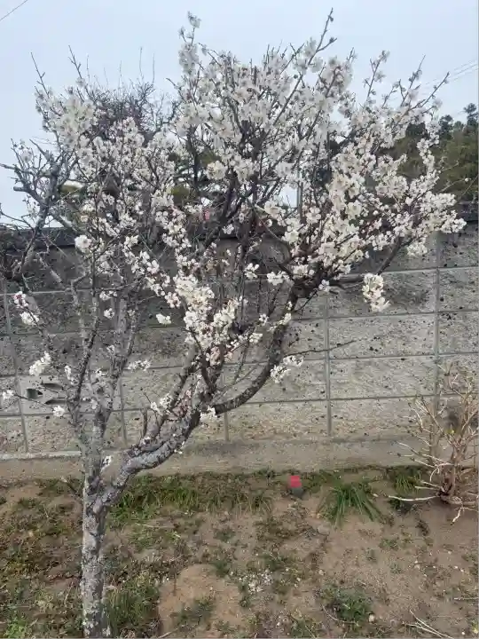 羽生天神社(宮城県)