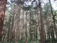 原野八幡宮の自然