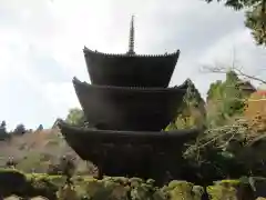 園城寺（三井寺）(滋賀県)