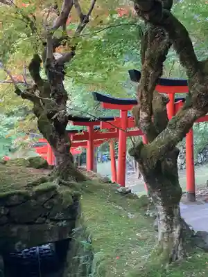 有子山稲荷神社(兵庫県)