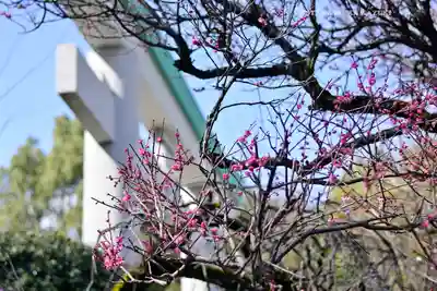出雲大社相模分祠(神奈川県)