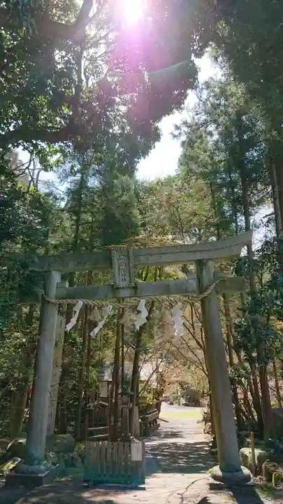 五所駒瀧神社(茨城県)