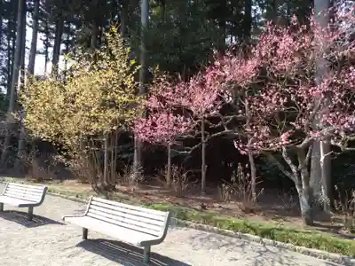 芳賀天満宮(栃木県)