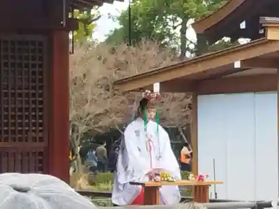 城南宮(京都府)