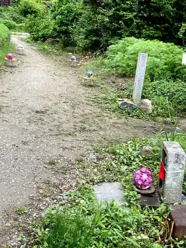 般若寺 ❁﻿コスモス寺❁(奈良県)