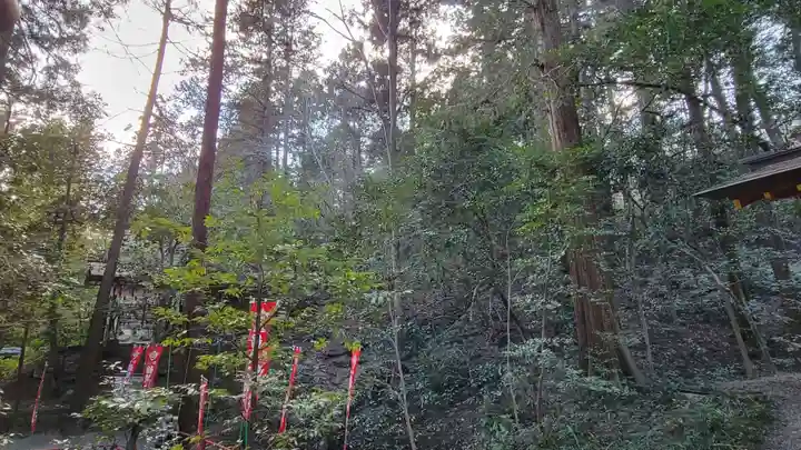 宝登山神社(埼玉県)