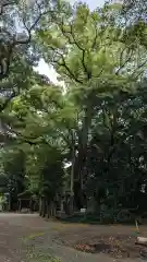 松阪神社(三重県)