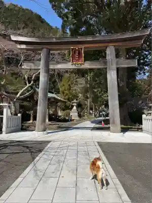 高麗神社(埼玉県)
