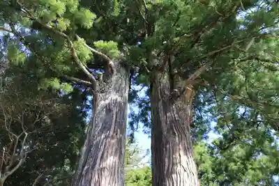 菅布禰神社の自然