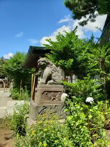 鷺宮八幡神社の狛犬