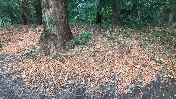 子安神社(茨城県)