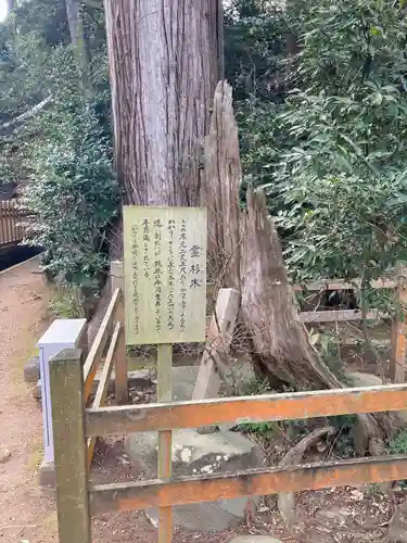 鹿島神宮(茨城県)