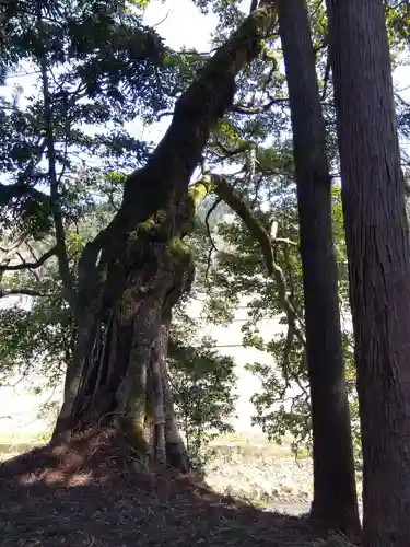 西側神社(福井県)