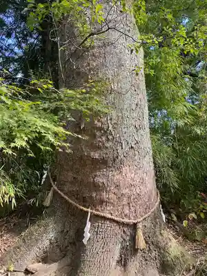 土佐神社(高知県)