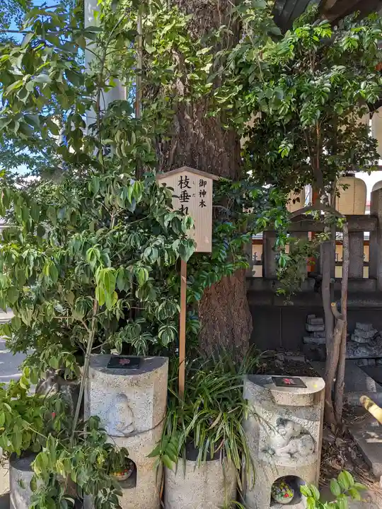 波除神社(波除稲荷神社)(東京都)