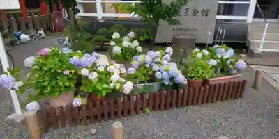 六孫王神社(京都府)
