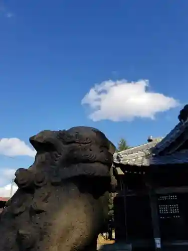 伏木香取神社の狛犬