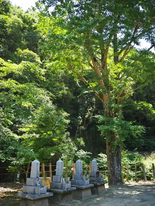 藤井寺のその他建物