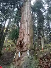 志和稲荷神社の自然