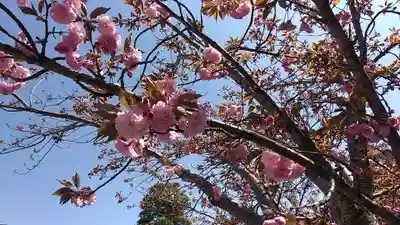 比佐豆知神社(三重県)