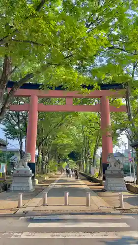 武蔵一宮氷川神社の鳥居