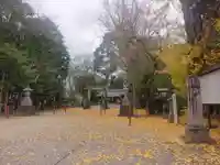 諏訪神社(鹿児島県)