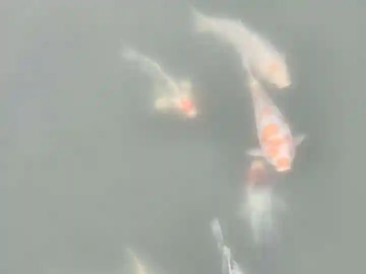 宇賀神社(岡山県)