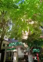 銀杏八幡宮(東京都)