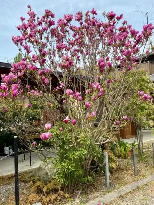 京都乃木神社の庭園
