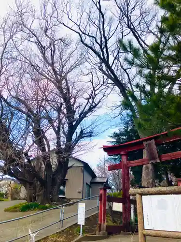 蛟蝄神社門の宮(茨城県)