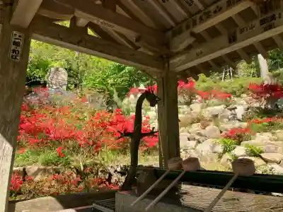 忉利天上寺(兵庫県)
