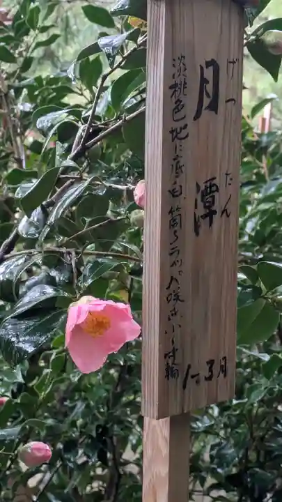 城南宮(京都府)