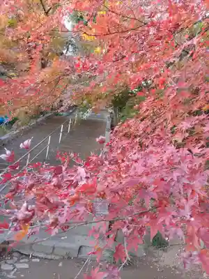 金龍寺(群馬県)