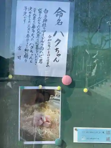 白子神社(千葉県)