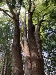 高繁大明神(稲荷)の自然