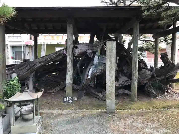 延命寺(愛媛県)