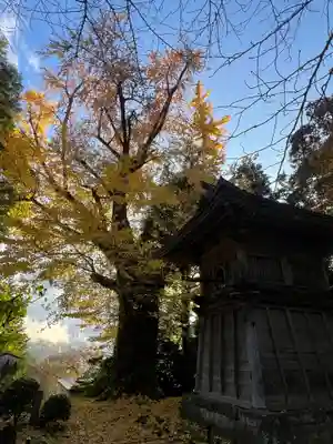 松尾寺(京都府)