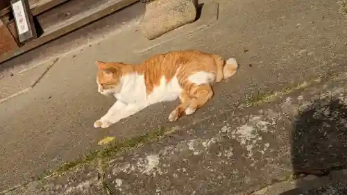 乗願寺(京都府)