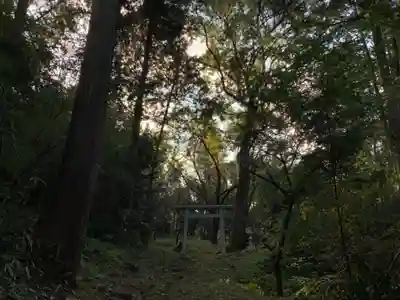 天神社の鳥居