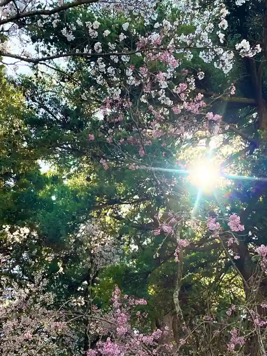山家神社の自然
