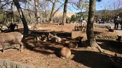 東大寺(奈良県)