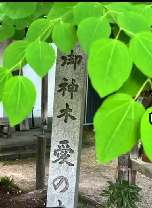 梨木神社の{uncategorized: "未分類", other: "その他", undefined: "問題あり", building: "その他建物", grave: "お墓", sacred_gate: "鳥居", guardian: "狛犬", statue: "像", buddha: "仏像", history: "歴史", nature: "自然", garden: "庭園", animal: "動物", pagoda: "塔", temizu: "手水舎", mountain_gate: "山門・神門", sanctuary: "本殿・本堂", subordinate: "末社・摂社", art: "芸術", scenery: "景色", jizo: "地蔵", ema: "絵馬", goshuin: "御朱印", omikuji: "おみくじ", items: "授与品その他", amulet: "お守り", goshuincho: "御朱印帳", eats: "食事", festival: "お祭り", votive_dance: "神楽", shichigosan: "七五三参", wedding: "結婚式", experience: "体験その他", initially: "初詣", around: "周辺", anti_infection: "感染症対策"}