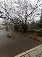 無量寿院の自然