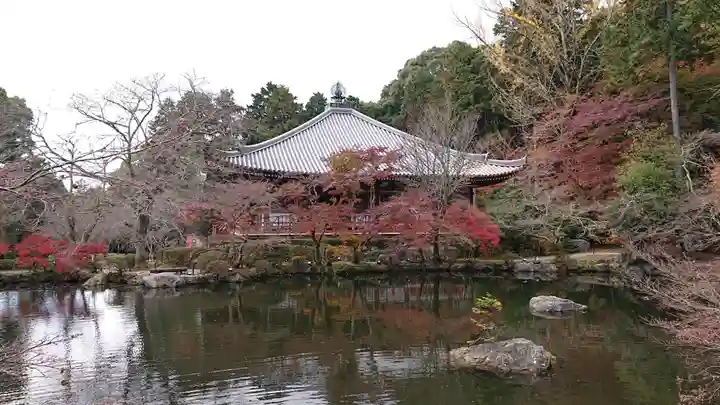 醍醐寺の庭園