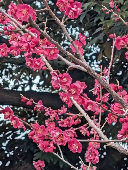 潮田神社(神奈川県)