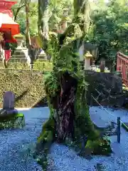 産泰神社(群馬県)