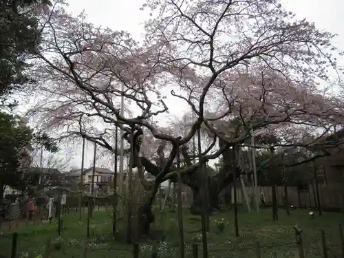 般若院(茨城県)