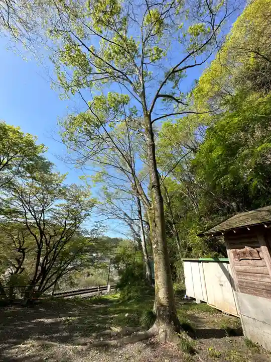 御室社(東京都)